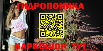 PSILOCYBIN Новодвинск