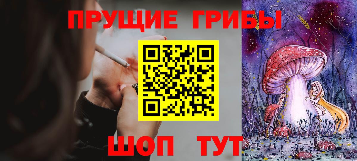 Верхняя Пышма  Псилоцибиновые грибы прущие грибы  Вход с VPN  Псилоцибиновые грибы Psilocybe 