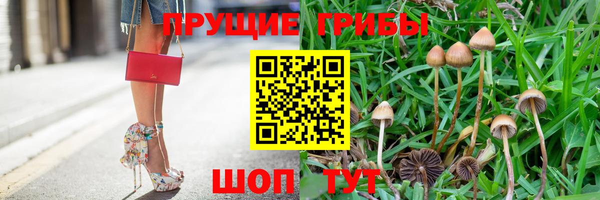 Псилоцибиновые грибы Cubensis Верхняя Пышма
